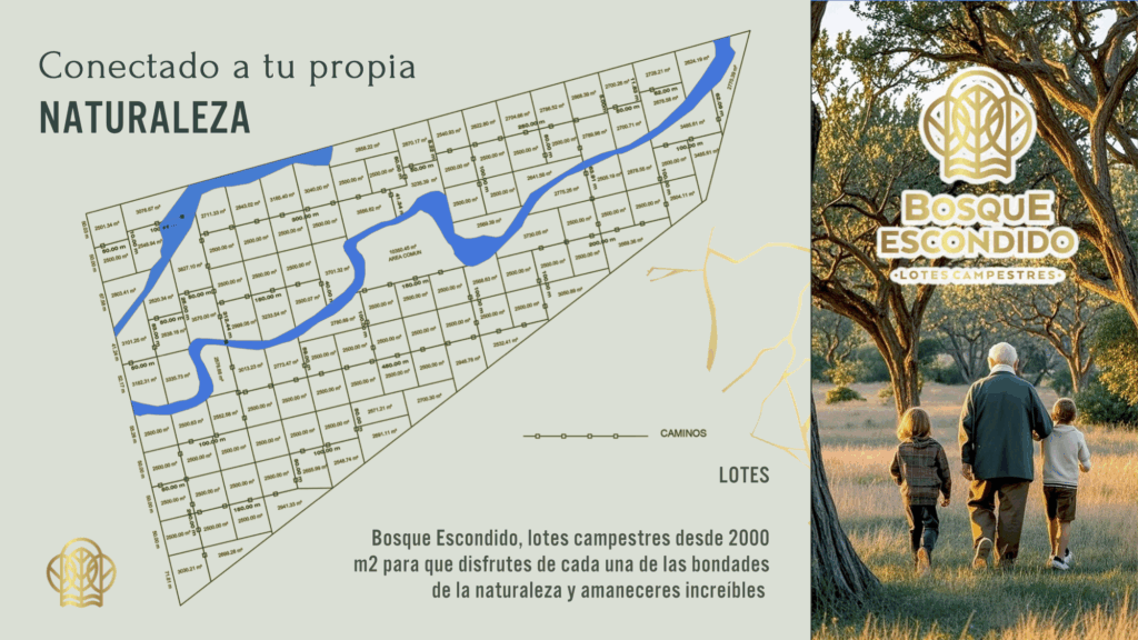 lotes