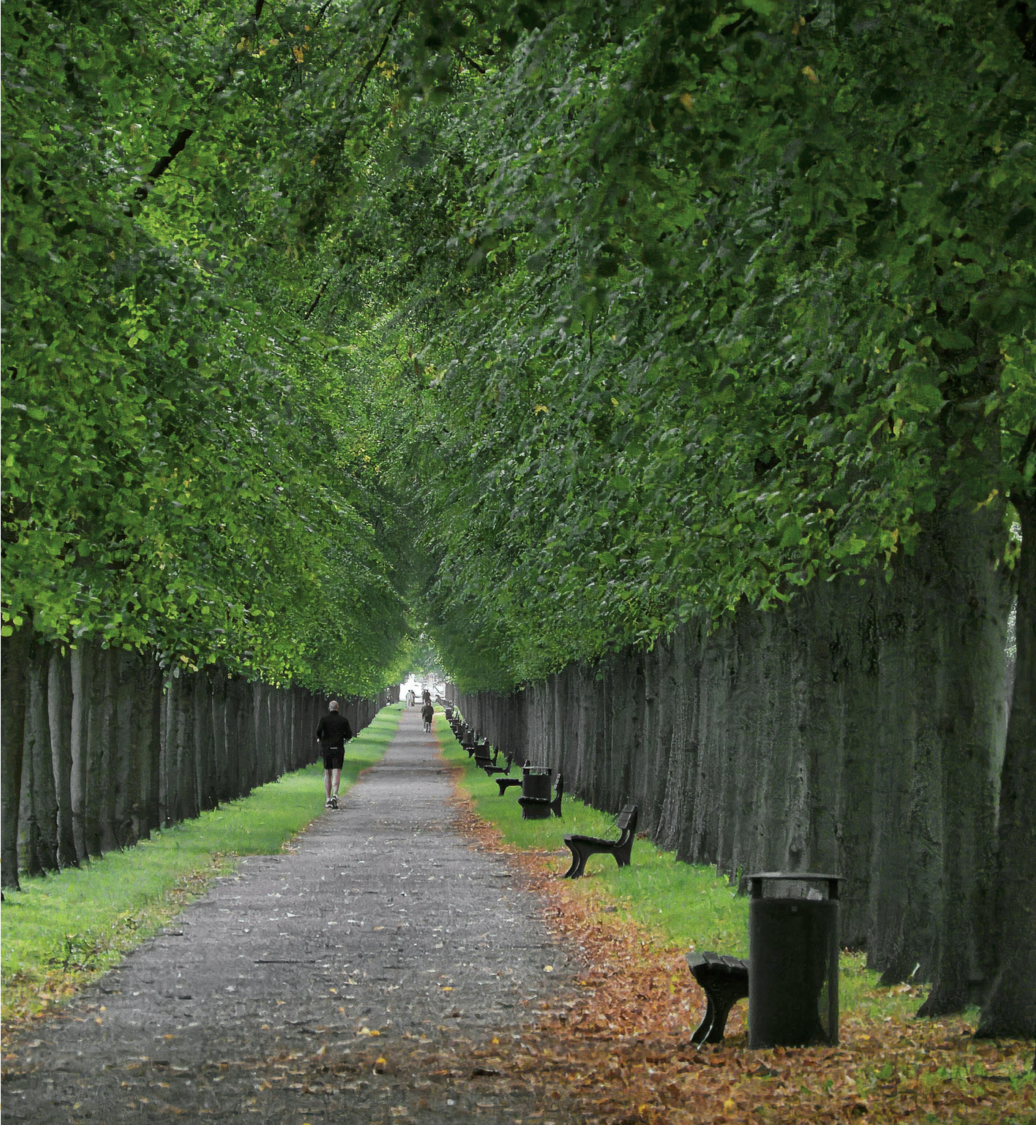 parquelineal
